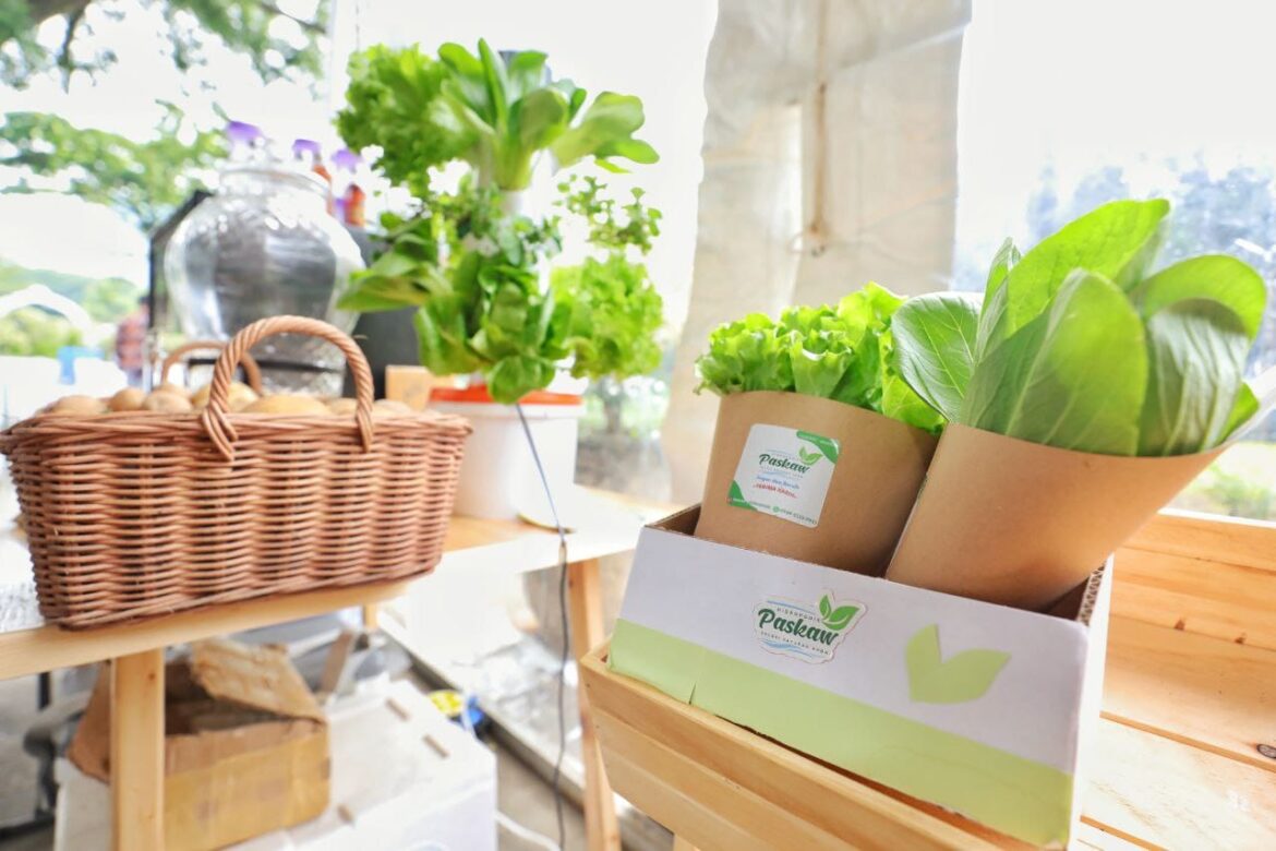 Wirausaha Muda Bandung Bukukan Omzet Rp6,71 Miliar Lewat Program NURTURE, Motor Penggerak Ekonomi Perkotaan